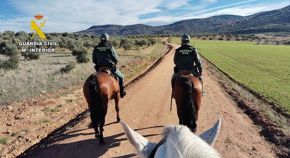 LVH NOTICIAS | LA GUARDIA CIVIL DE ALBACETE REFUERZA EL OPERATIVO DE LA CAMPAÑA OLIVARERA CON EL GRUPO DE CABALLERÍA